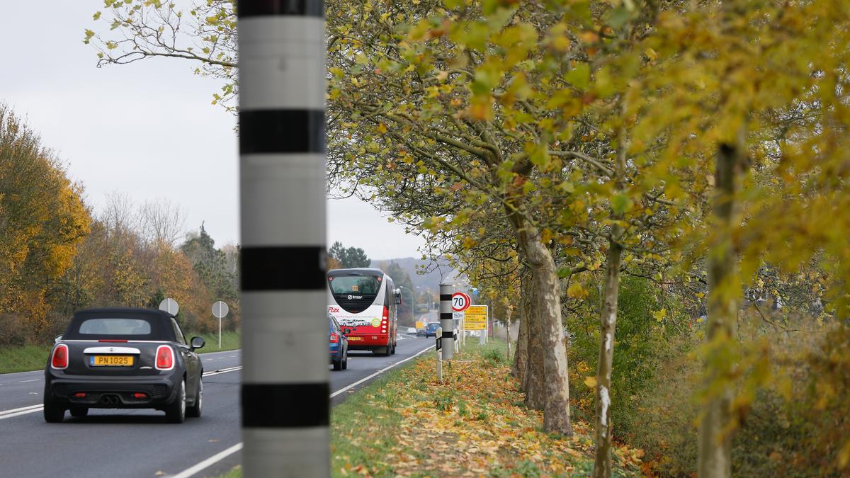 Neue Petitionen F R Mehr B Ume Und Radarger Te Luxemburger Wort